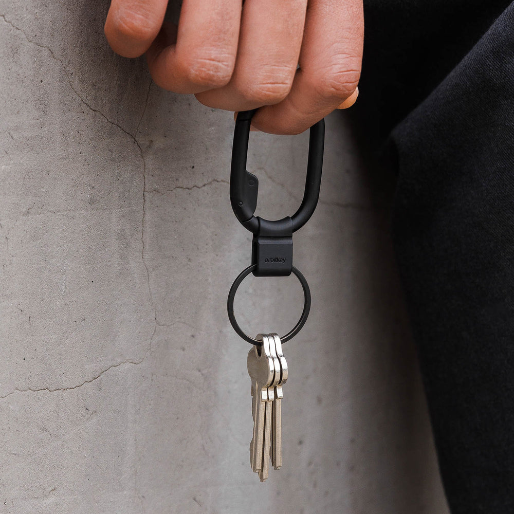 Small best sale key clip